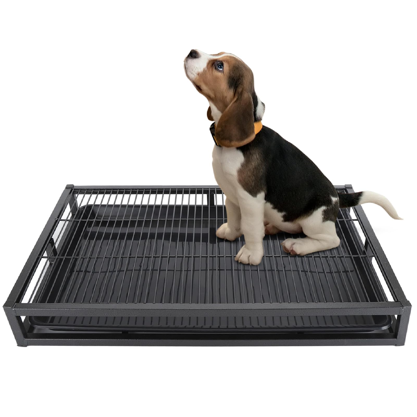 Dog Potty Tray, Pet Indoor Dog Training Toilet, Pet Litter Box Dogs Training Toilet, Puppy Pee Pad Holder Mesh Pad Tray, Potty Trainer Holder for Small Dogs (L, 24.4x16.9x3.1in)