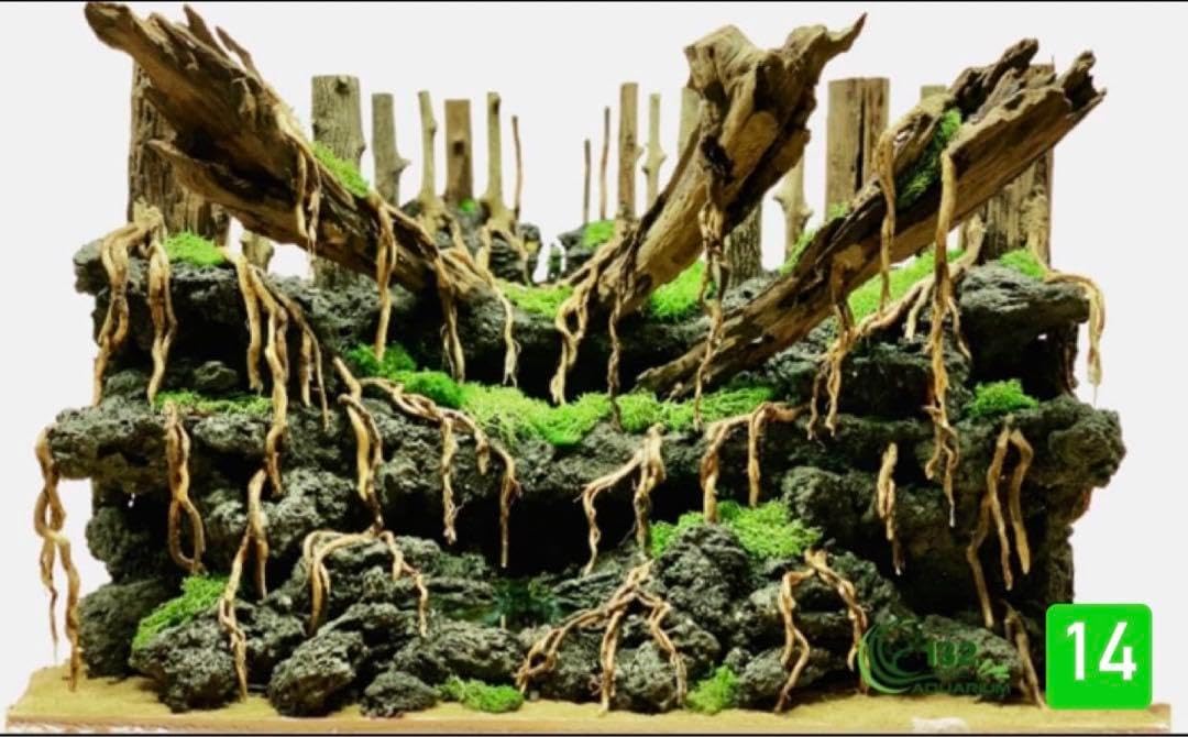 XM-197 流木　マシンガンウッド　アクアリウム　ブランチウッド　沈水確認済 XM-197 流木 マシンガンウッド アクアリウム ブランチウッド 沈水確認