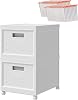 Collapsible Stackable Rolling File Boxes with Lids and 10 Hanging Files, Portable Plastic Storage Organizer with wheels for Home or Office, 2-Pack