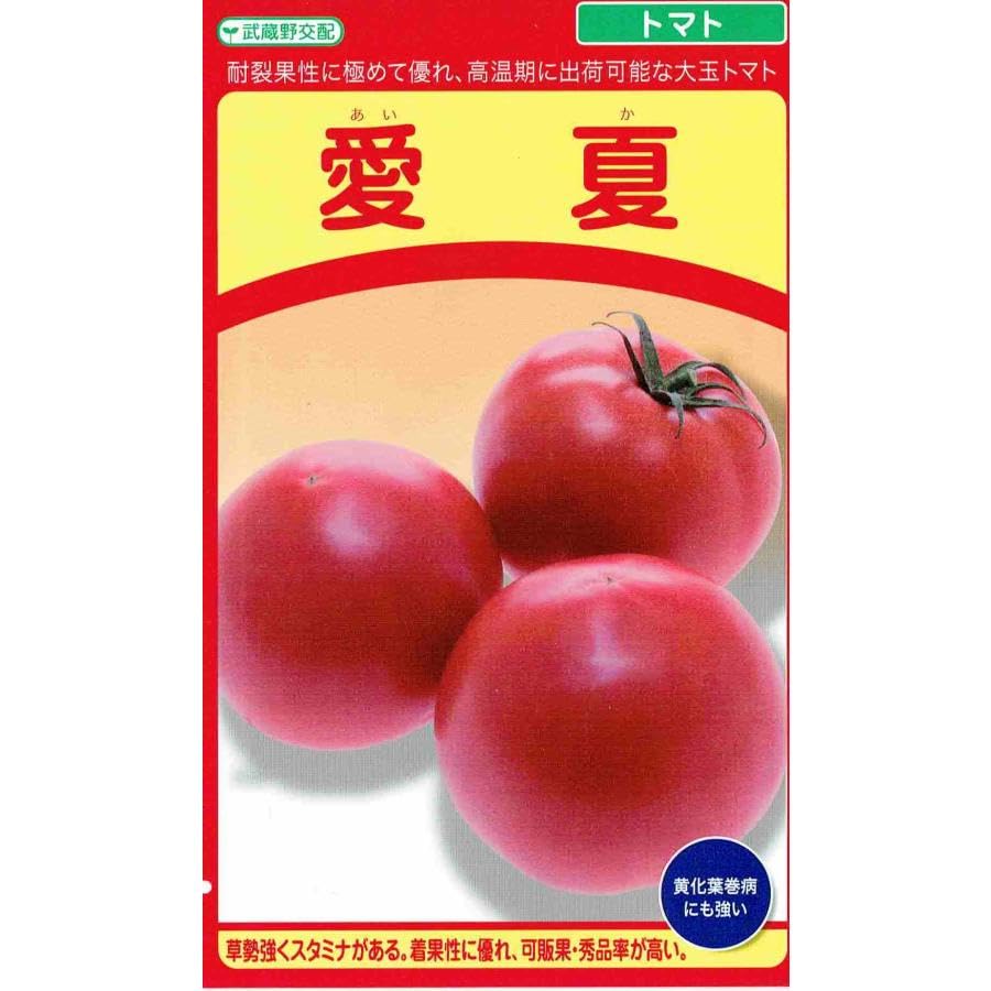 大玉トマト　愛夏　キングバリア 苗 ポット入り Amazon.co.jp: 武蔵野種苗 トマト 愛夏のタネ(あいか) : DIY・工具