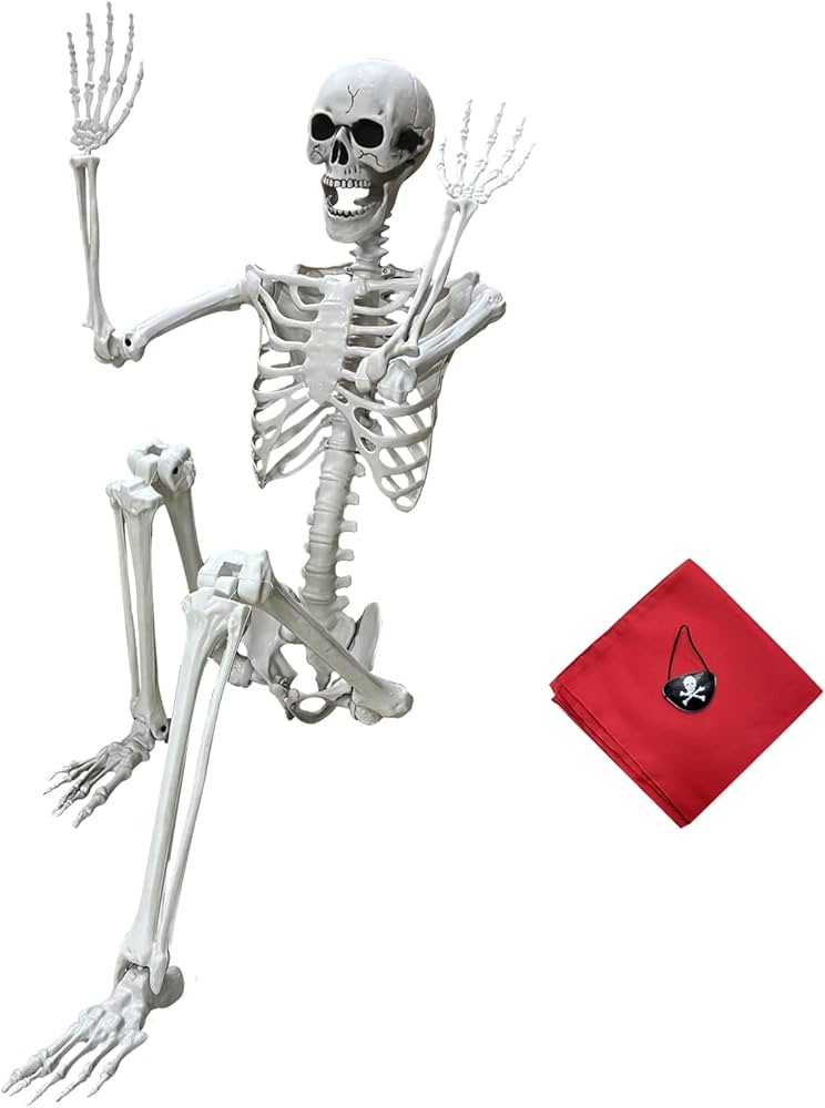 5.4ft Halloween Life Size Skeleton Full Body Plastic Human Bones