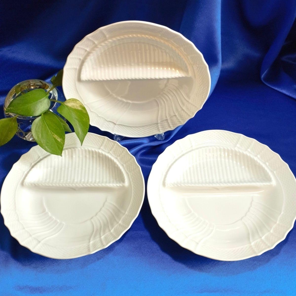 魚谷あきこ 皿 直径約15cm 3枚セット 作品 食器