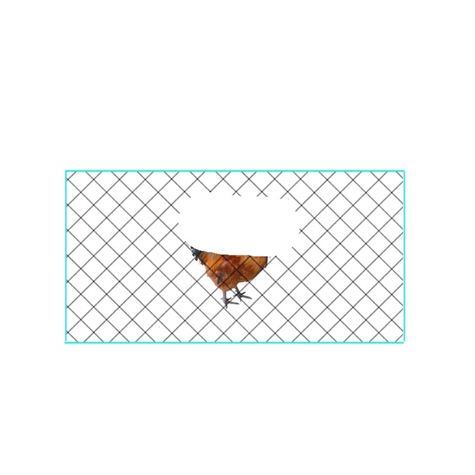 Rete per pollaio Rete di nylon for pollame, recinzione for , rete protezione for laghetto da giardino, agricola, anti-uccelli, lunghezza 10-50 m per Scherma(5X30M)