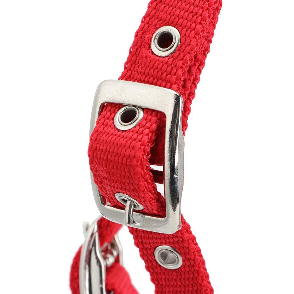 TOPINCN Brida de caballo, rojo ajustable Caballo Brida Reno Arnés Cabezas Caballo Bit Horse Equestrian Accesorios con Cojín Suave