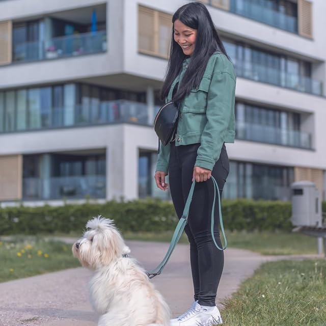 Foto 6 de 6 de TRIXIE CityStyle Correa, PVC, L-XL 1, 00 m, 20 mm, Salvia, para Perros