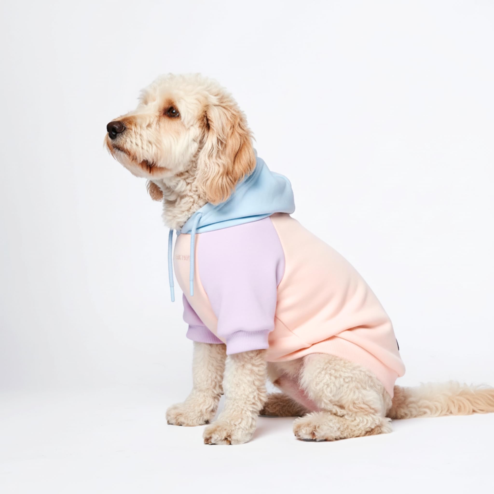 Spark Paws Dog Hoodie Jumper - Premium Quality, Buttery Soft, Superior Comfort and Fit, Calming Fleece Interior, Suitable for All Breeds - Cotton Candy - M