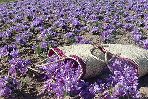 Zaffrus - Super-Premium All Red Saffron Threads For Cooking Saffron Rice, Risotto, Paella, Persian Tahdig, Tea, Golden Milk (5 Grams / .176 Oz) #TOP4