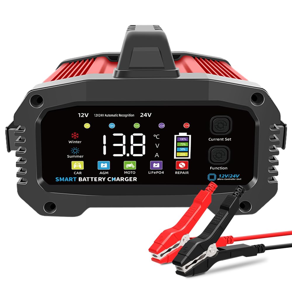 25 Amp Lithium LifePo4 Battery Charger, 14.6V/29.2V, 2-25A Adjustable Current, Compatible with 12V/24V Lead-Acid,Calcium,Gel,AGM Batteries,Multiple protections,Smart Battery Charger.