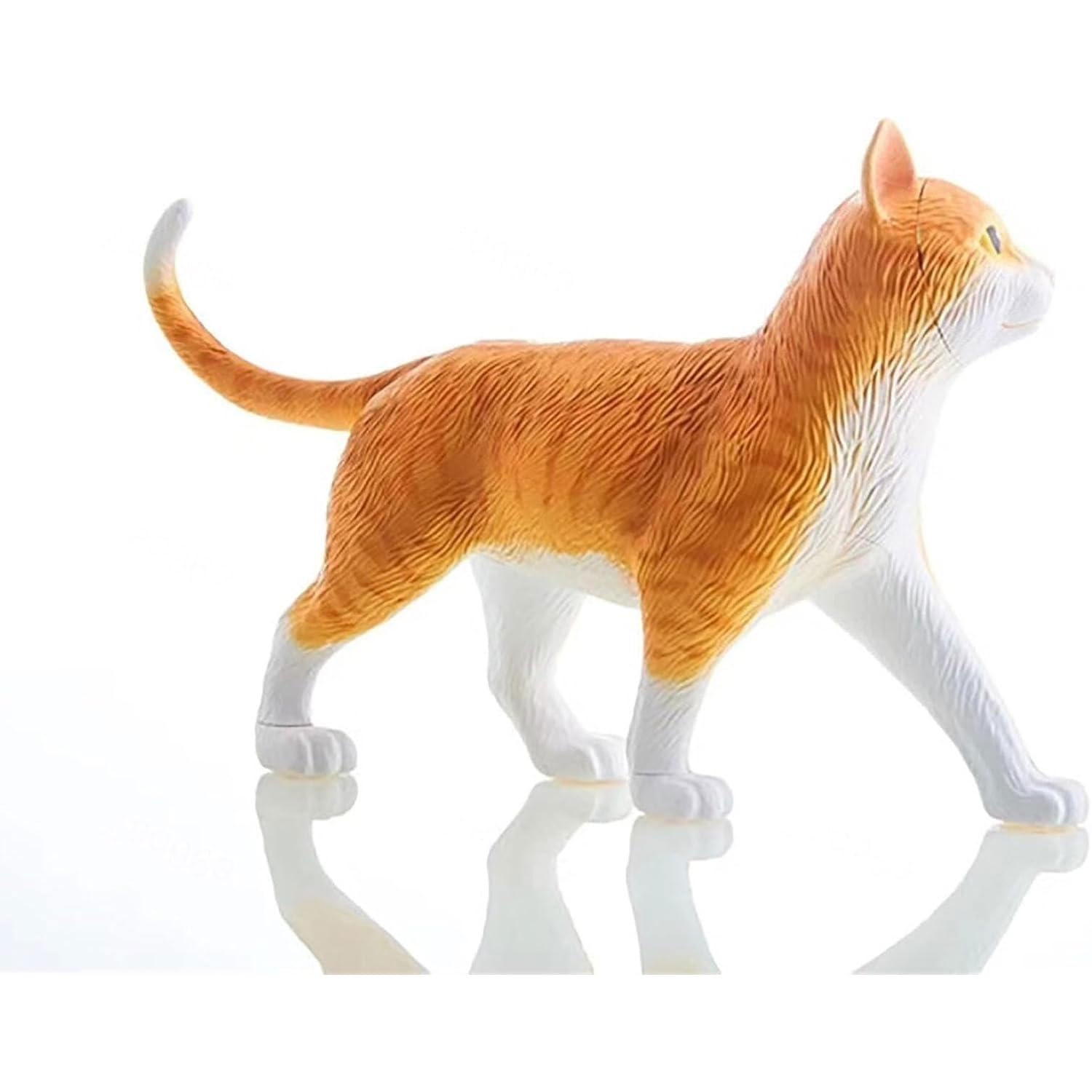 Modelo de anatomía de órganos internos de Gato calicó 4D, Kit de Esqueleto y Modelo anatómico de Gato atigrado Naranja - Coleccionable de Calidad con órganos y Partes del Cuerpo Totalmente