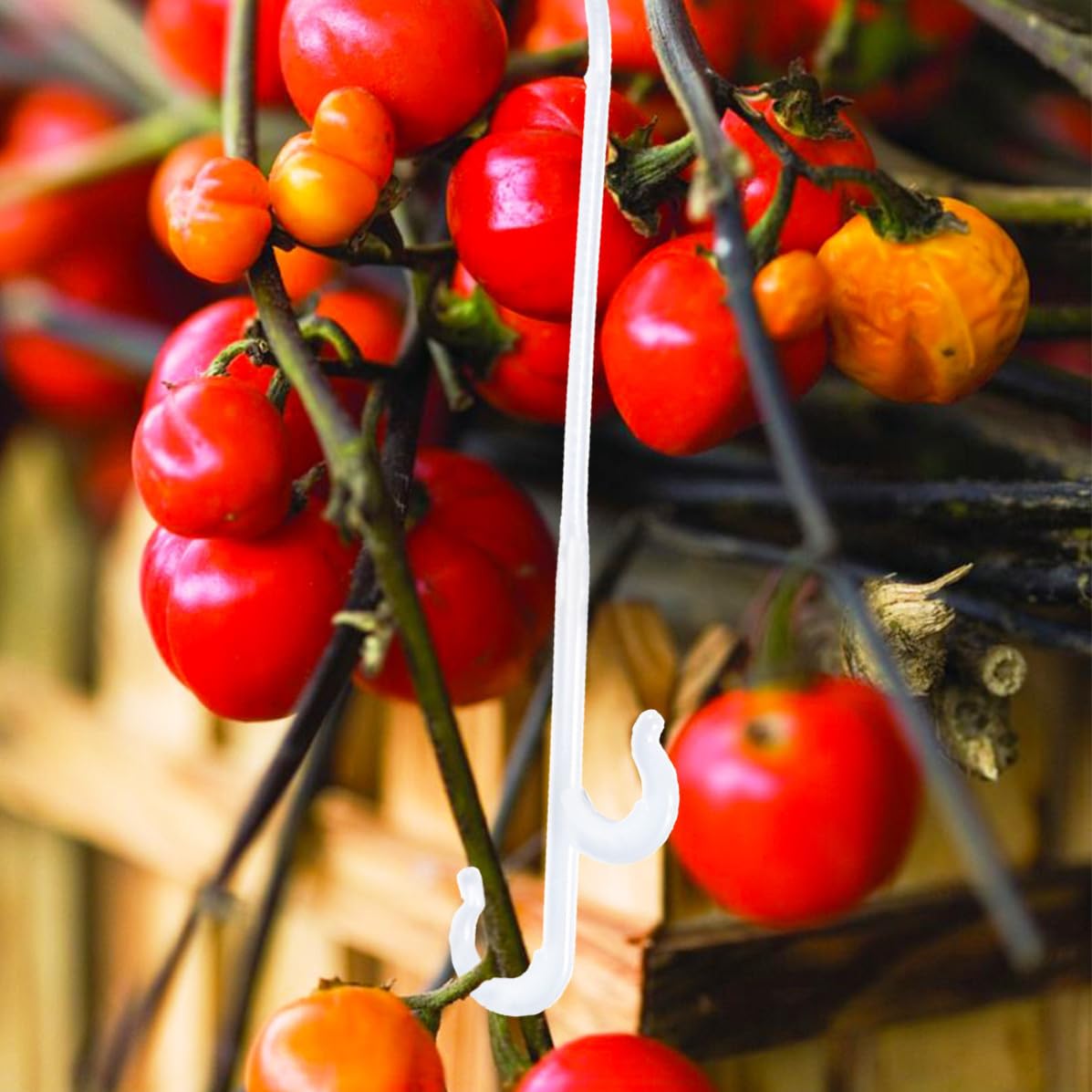 BESPORTBLE 850 Pezzi Gancio per Supporto per Pomodori e Cetrioli | Nylon Bianco, per Giardino e Serra, Aiuta a Fissare i Tralci e Controllare la Crescita