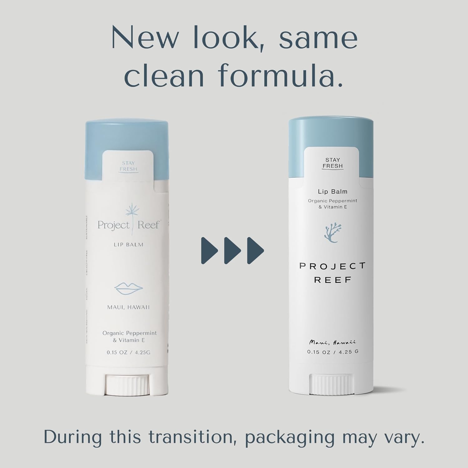 Project Reef Herbal Peppermint Lip Balm – Vegan, Reef-Safe & Hydrating Lip Care with Organic Peppermint, Shea Butter & Vitamin E – Natural Sunburn Relief & Daily Care, 0.15 oz, 2 Pack - Image 2