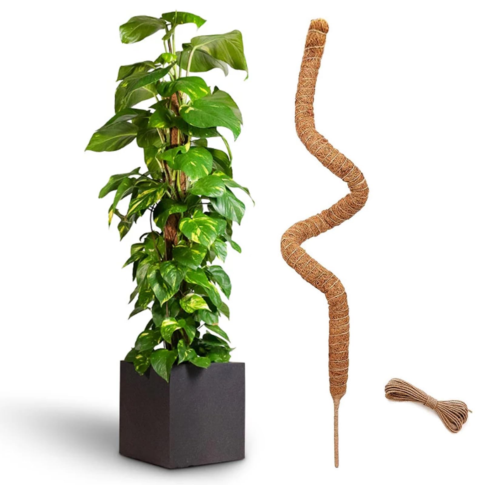 RYO　moss stick PQ60 Amazon.com : 48 Inch Bendable Moss Pole for Plants Monstera