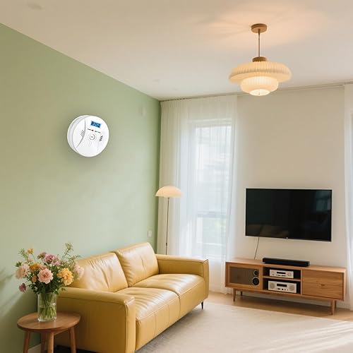 Miniatura 4 de Detector de monóxido de carbono, alarma portátil de monóxido de carbono, con pantalla LCD y botón de prueba (pilas no incluidas)