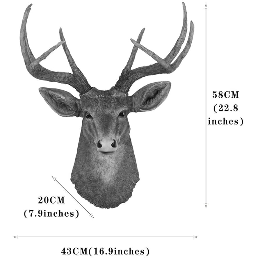 鹿の角　６本　本物　送料込み❗️ 日本鹿の角(送料込み)｜Yahoo!フリマ（旧PayPayフリマ）