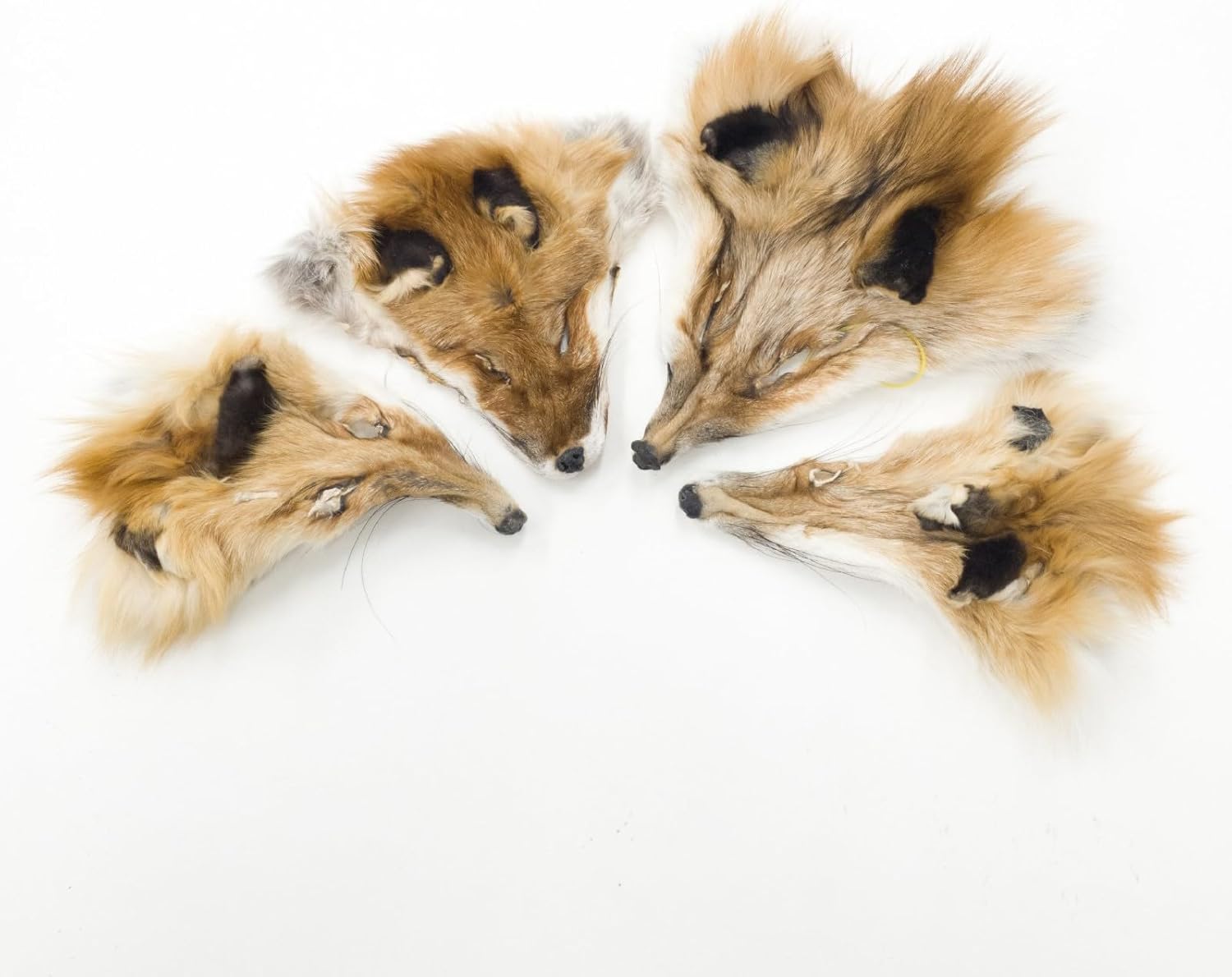 The Leather Guy - Real Fur Scrap - Mostly Beaver, Includes Coyote, Raccoon, Craft Pieces - 1lb Mixed Colors, Small