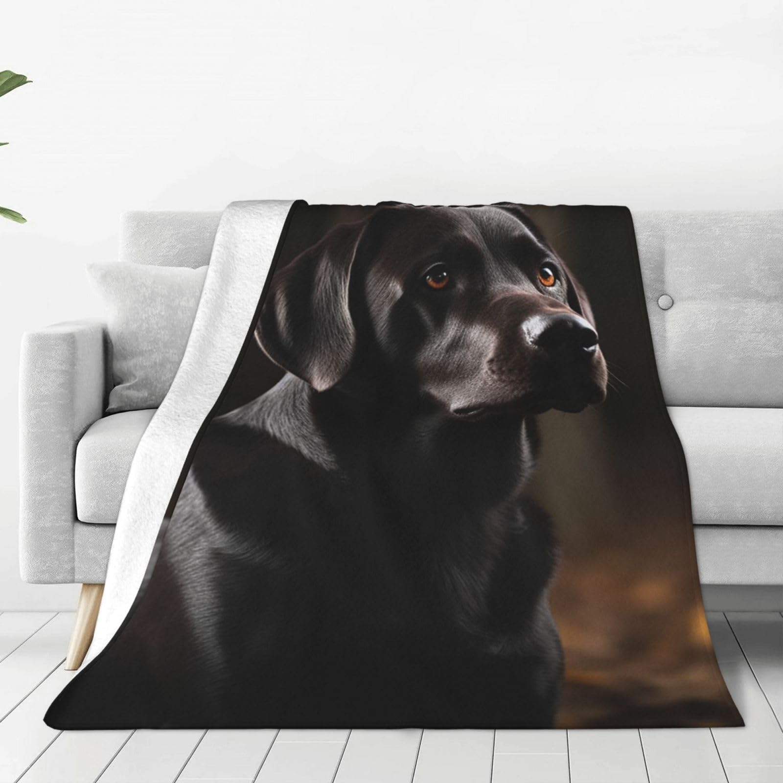 KLOPH Black Labrador Throw Blanket 50"x40" Flannel Fluffy Warm Blanket for Couch, Reversible Plush Blankets for Bed, Comfy Fuzzy Blanket for Sofa, Plush Lightweight-Blankets for All Season