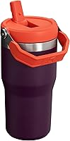 Vista 116 de Stanley - Vaso con popote plegable IceFlow con asa de 30 onzas Tapa de giro y popote abatible Botella de agua resistente a fugas Acero