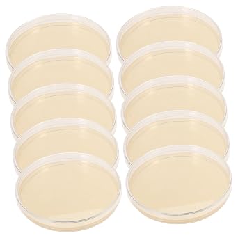 Agar Plates 10pcs Nutrient Agar Plate Stuffies for Plastic Plants Petri Dishes Borosilicate Glass Petri Dishes Laboratory Agar Plates Nutrient Agar Plates Round Colombia