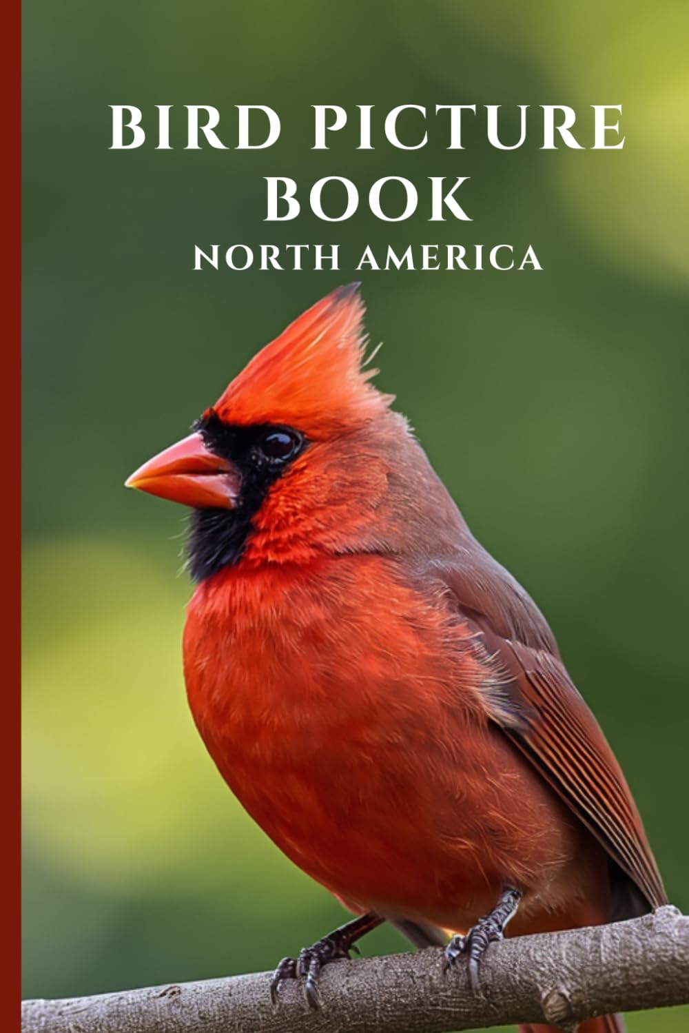 Bird Picture Book North America: Gift for Dementia, Alzheimers, Seniors, Memory Care (Mindful Alzheimer's and Dementia Activities)