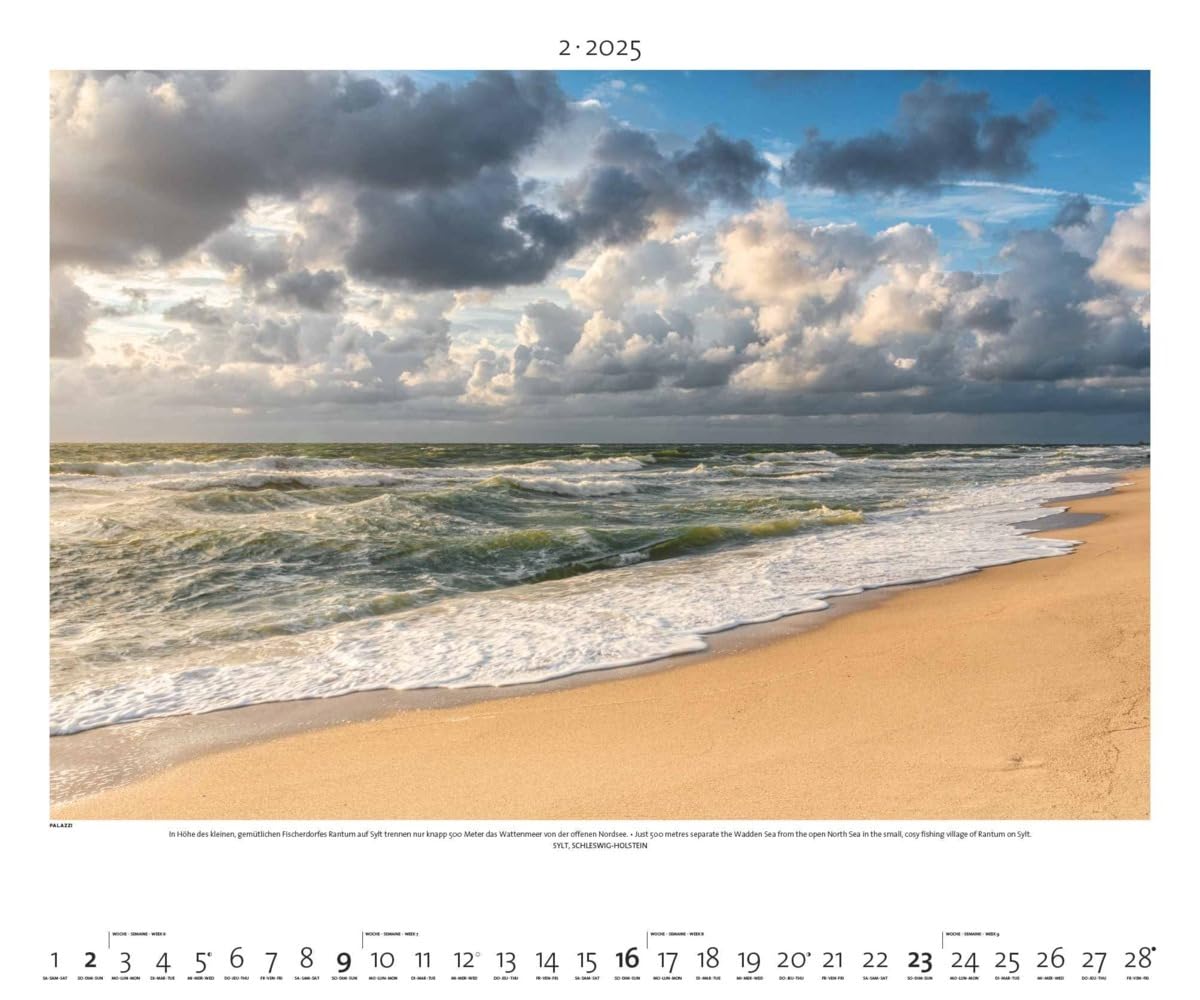 PALAZZI - Naturland Deutschland 2025 Wandkalender, 60x50cm, Posterkalender mit schönen Bildern aus Nationalsparks und Naturschutzgebieten, Felder, Wiesen und Wälder