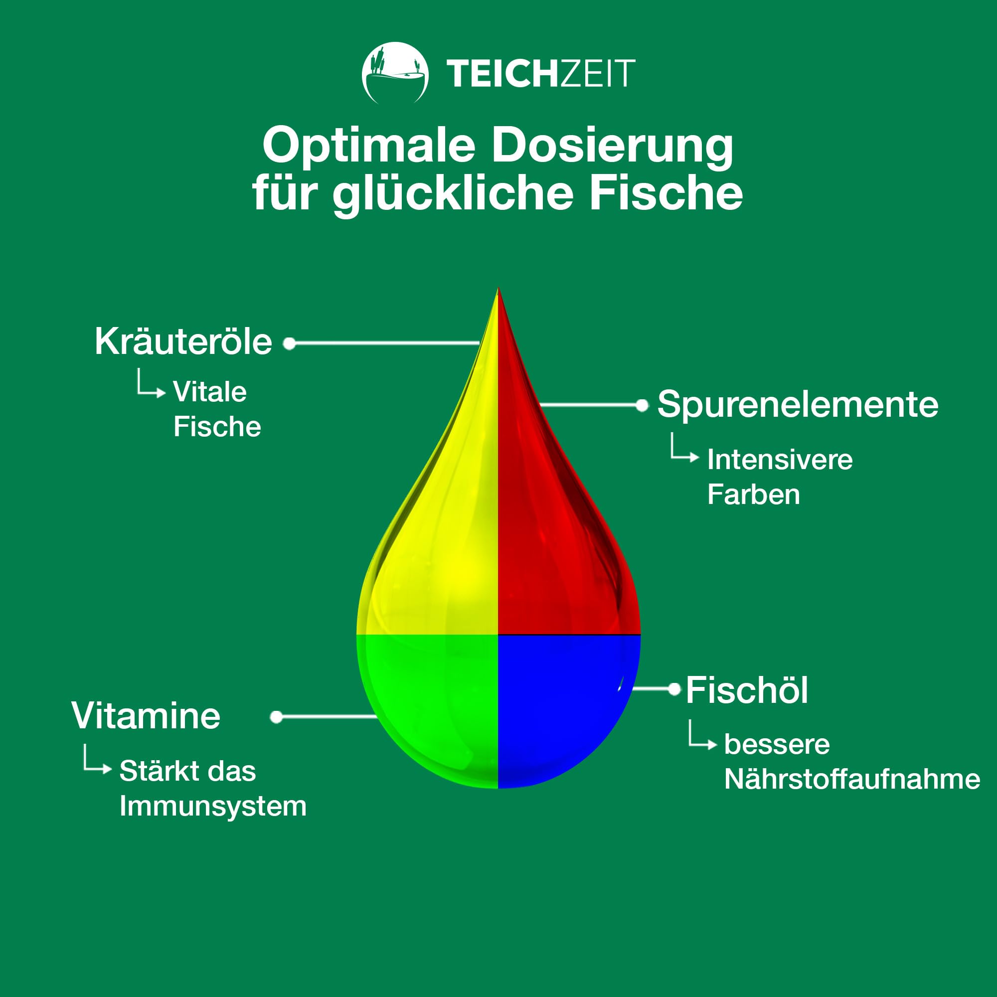 Teichzeit Biotop Futter Float | Fischfutter für Teichfische | Schwimmendes Teichfutter | Futter für Gartenteich Fische | 6kg