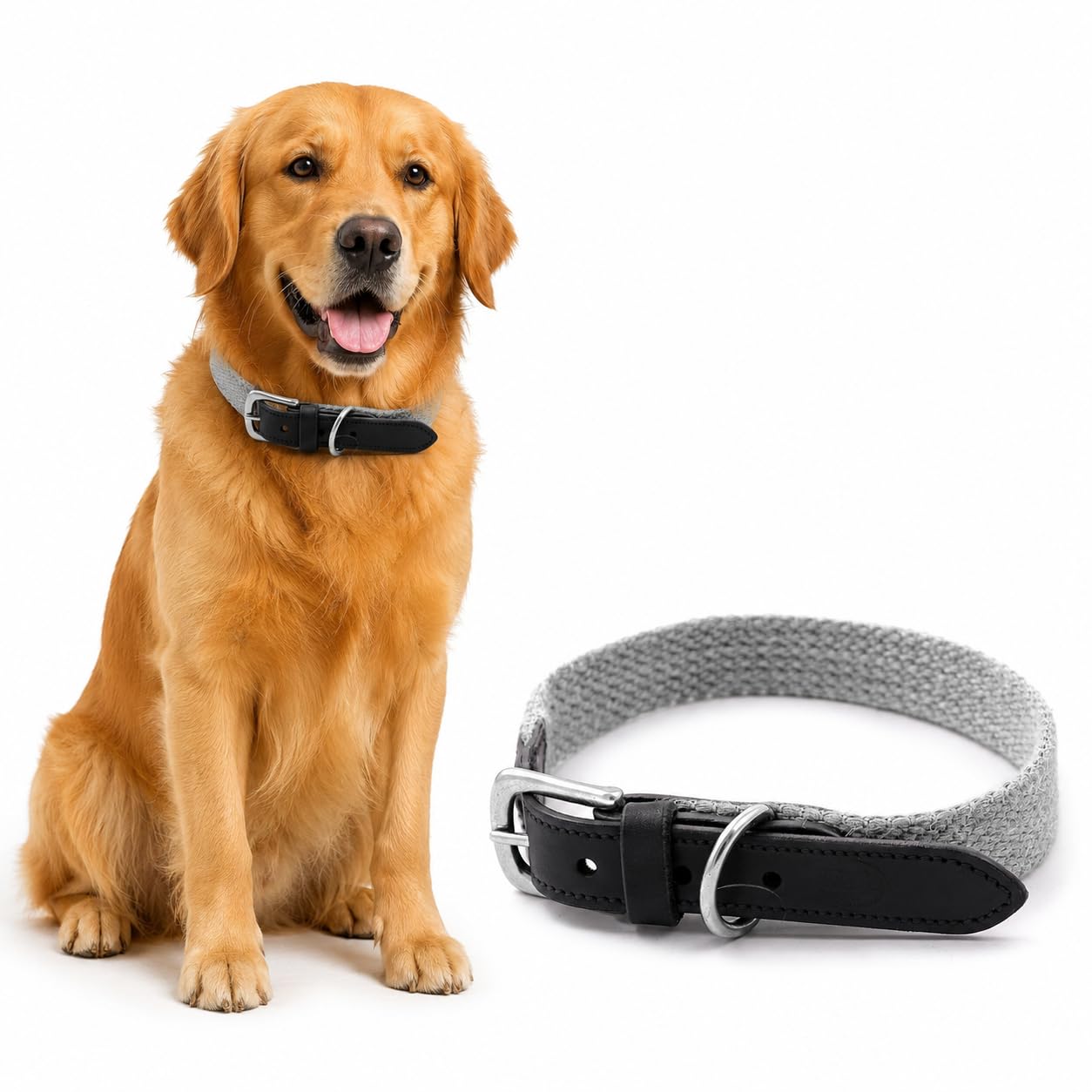 Sparrow Daughter Plain Cotton Dog Collar with Leather Reinforcement Adjustable Soft Breathable Neckbelt Heavy Duty Brass Hardware Strong D-Ring Walking Training Pets - Grey, XL