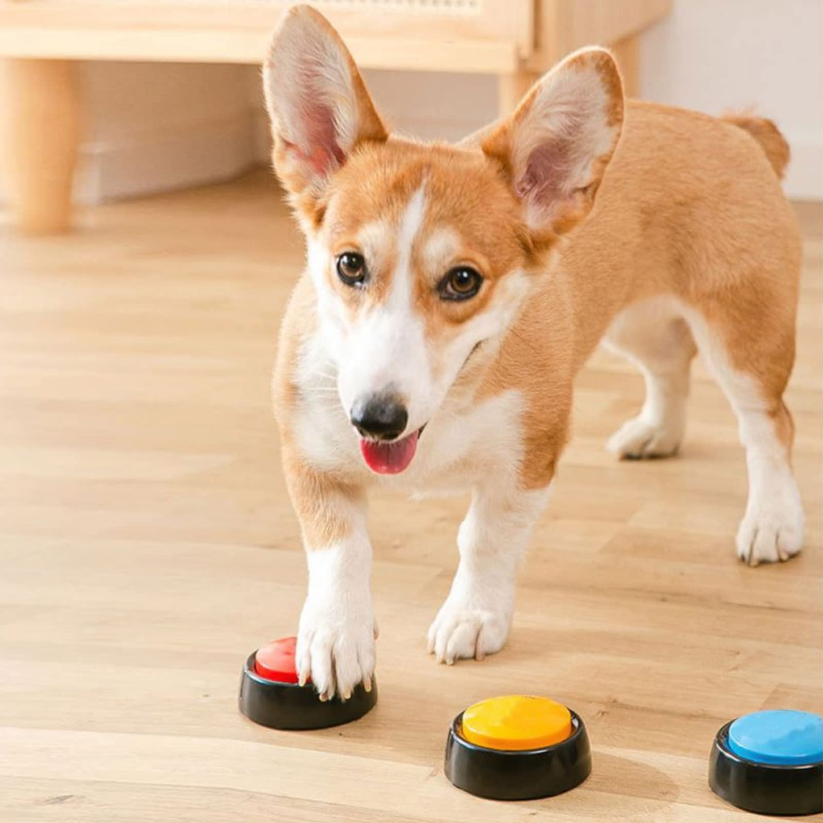 6 Paquetes de Botones de Grabación de Voz, Botones Grabables para Hablar con Perros para Comunicación, Botones de Comando de Voz para Perros, Botones de Grabación de 30 Segundos para Gatos, Zumbador D