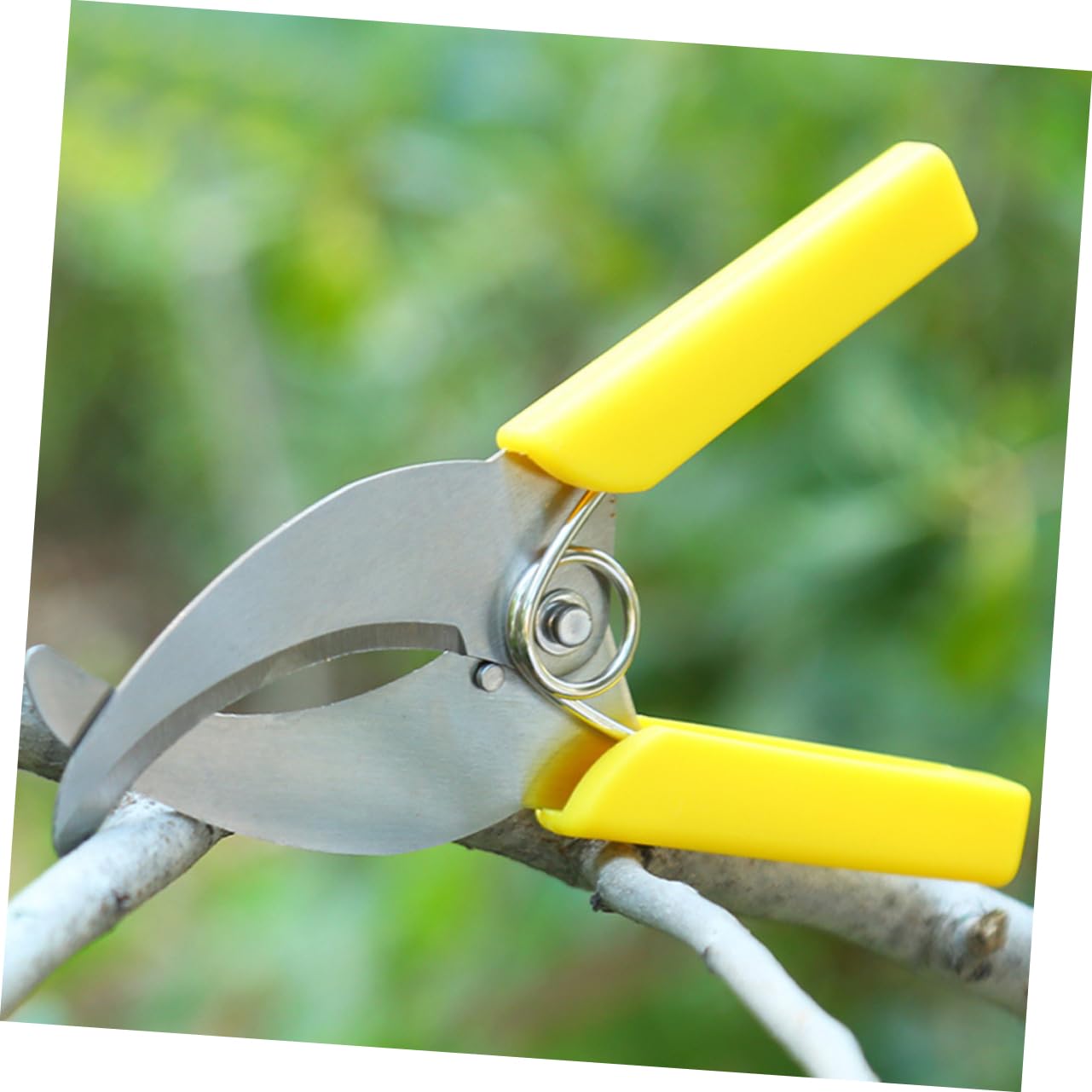 TOYANDONA 2 Set Cesoie Da Cintura Cingendo Strumento Per Togliere La Corteccia Attrezzo Manuale Per Cingere Alberi Da Frutto Potatori Manuali Da Giardino Plastica 2 Pezzi*2