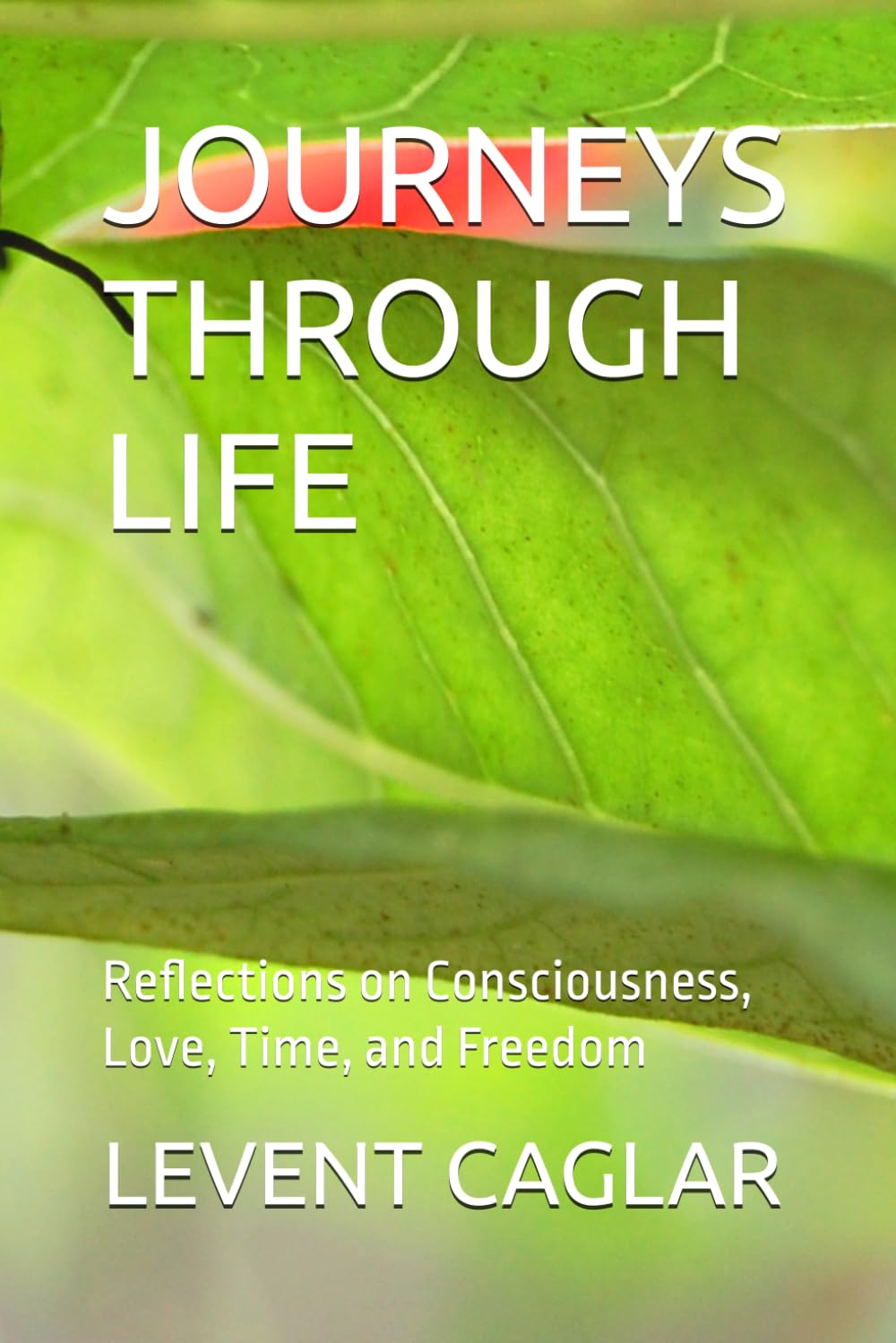 JOURNEYS THROUGH LIFE: Reflections on Consciousness, Love, Time, and Freedom