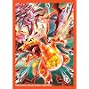 Pokemon TCG: Charizard ex Premium Collection