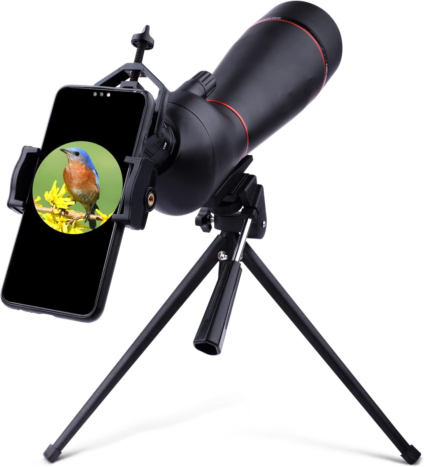 Spotting Scope for Bird Watching, 20-60X80, Multilayer Coating Optical Lens, Perfectly for Observing Birds, Animals and Outdoor Activities (A)