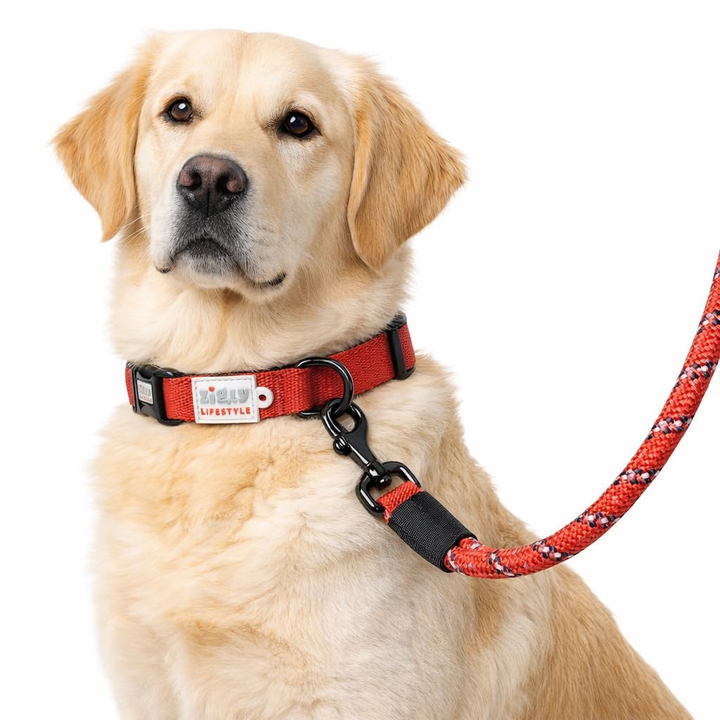 Zigly Lifestyle Classic Padded Dog Collar & Reflective Leash Set for