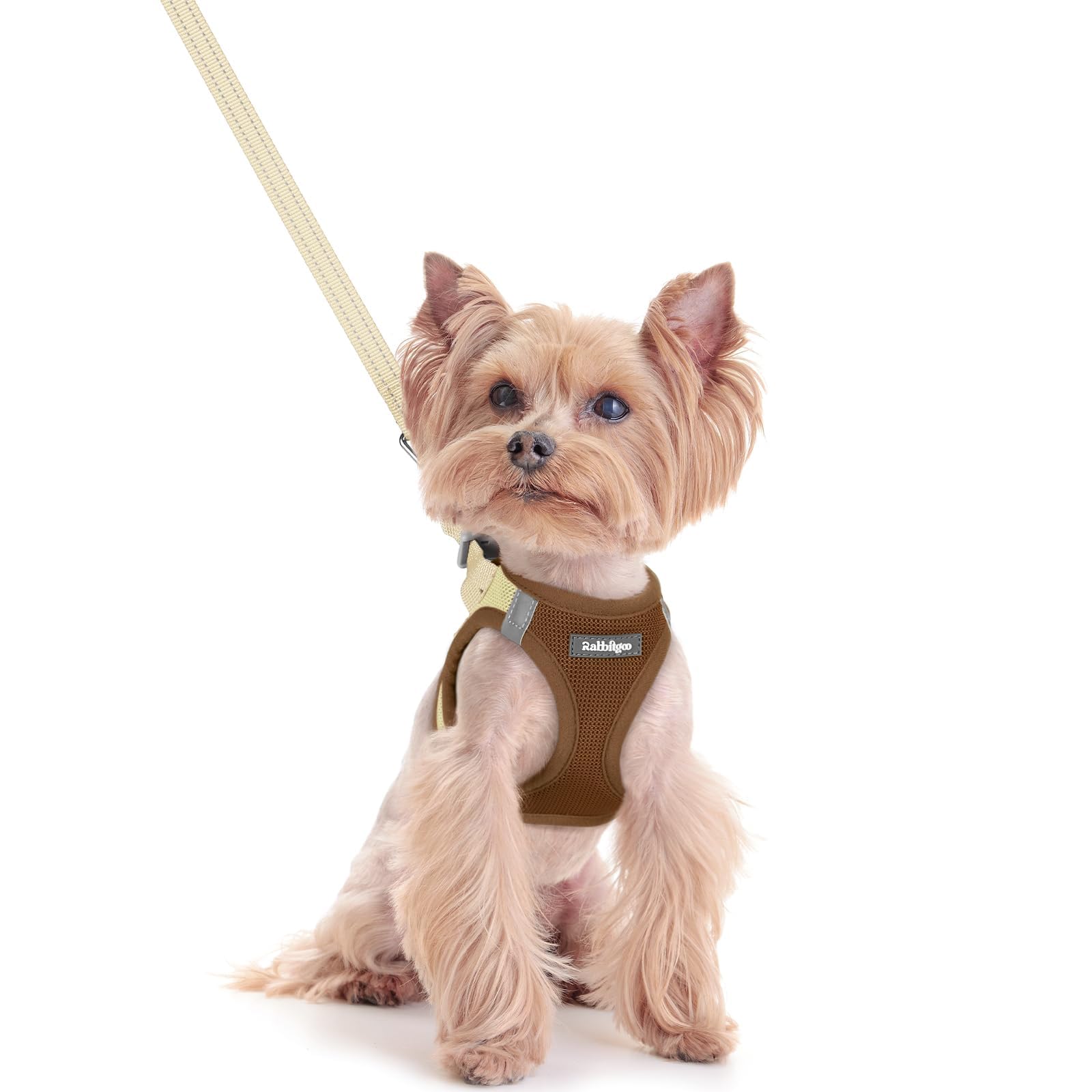 rabbitgoo Dog Harness Small Dog and Leash Set, Step-in Soft Mesh Puppy Harness with Reflective Strips, Lightweight Breathable Pet Vest for Walking Training, Brown & Beige, XXS