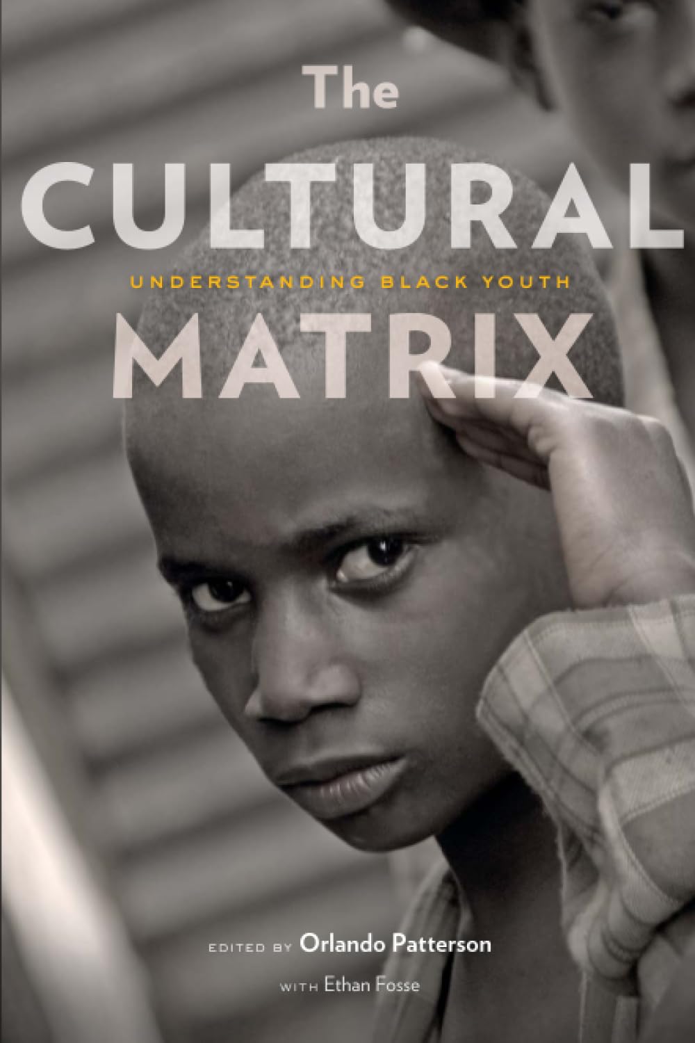 The Cultural Matrix: Understanding Black Youth