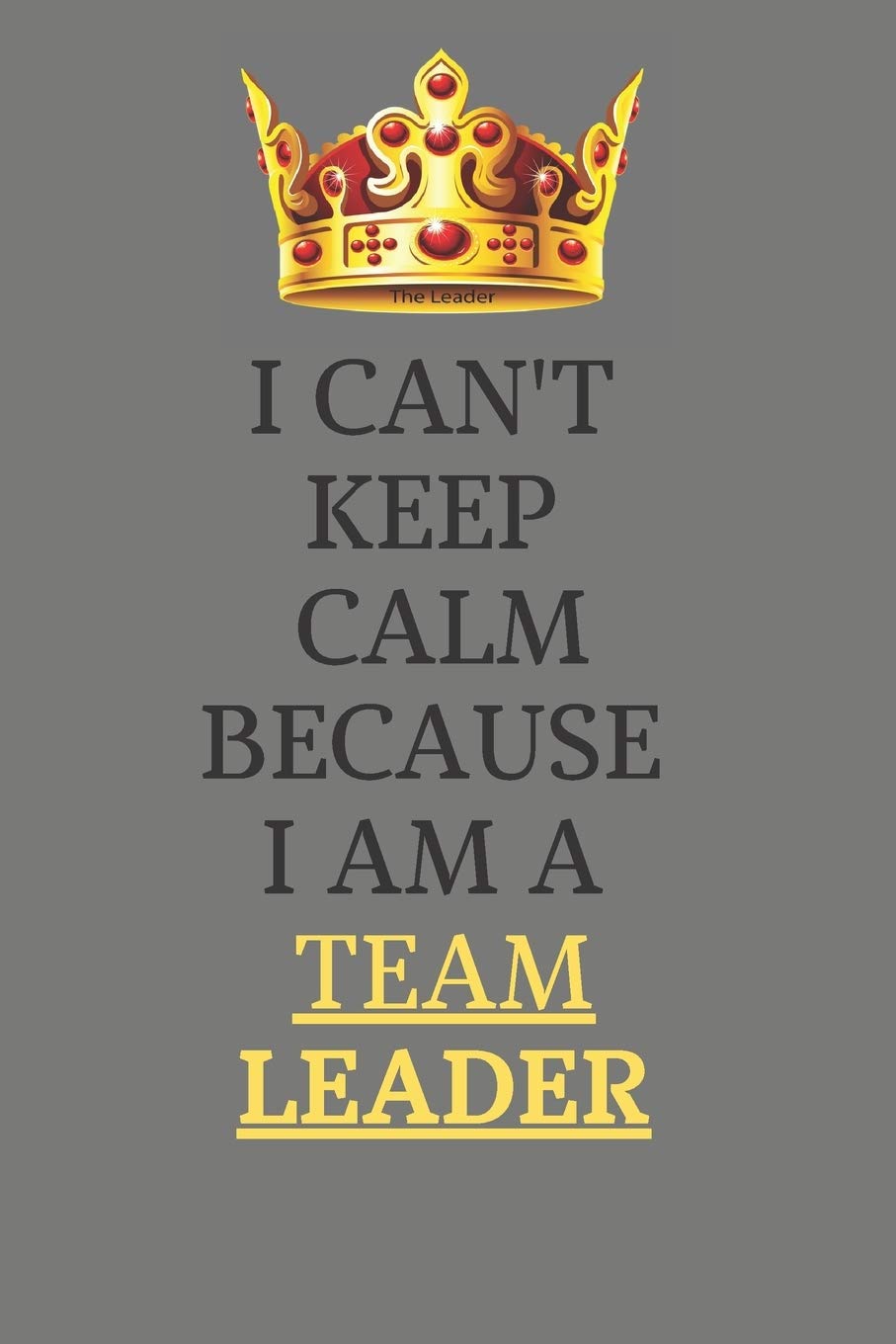 I Can't Keep Calm Because I Am A Team Leader : Motivational and Emotional career Notebooks: Lined Notebook / Journal Gift, 120 Pages, 6x9, Soft Cover, Matte Finish / Grey Color