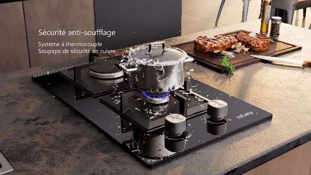 Cuisinière à gaz 2 feux avec couvercle en verre à encastrer pour camping-car, caravane, bus, bateau-990013554 Cuisinière à gaz 2 feux avec couvercle en verre à encastrer pour camping-car, caravane, bus, bateau-990013554