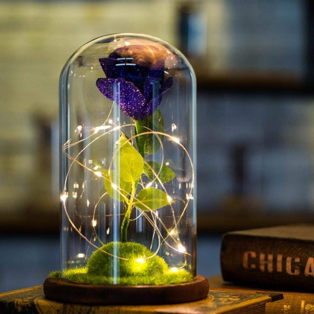 aifengxiandonglingbaihuo Beauty and the Beast Red Rose in a Glass Dome with LED Light and Base for Valentine's, C2,Italy