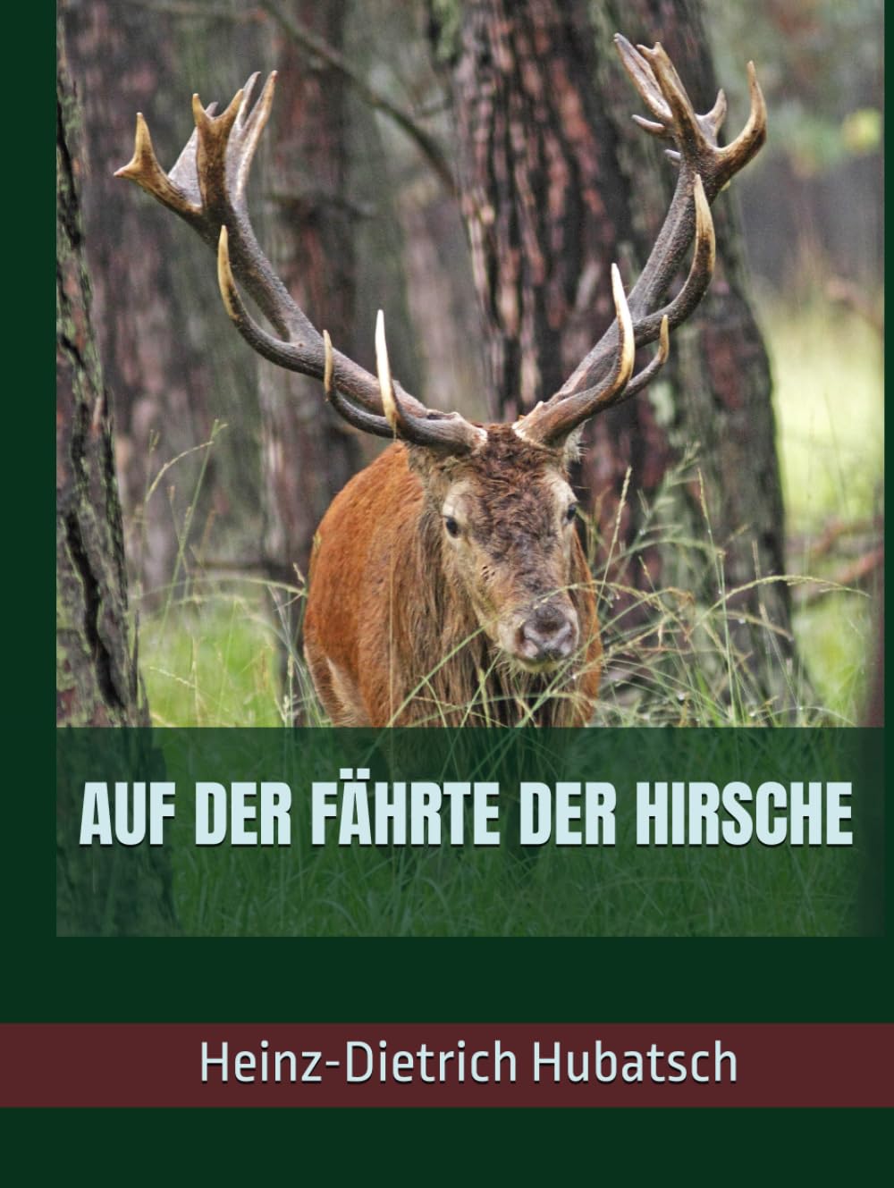 AUF DER FÄHRTE DER HIRSCHE