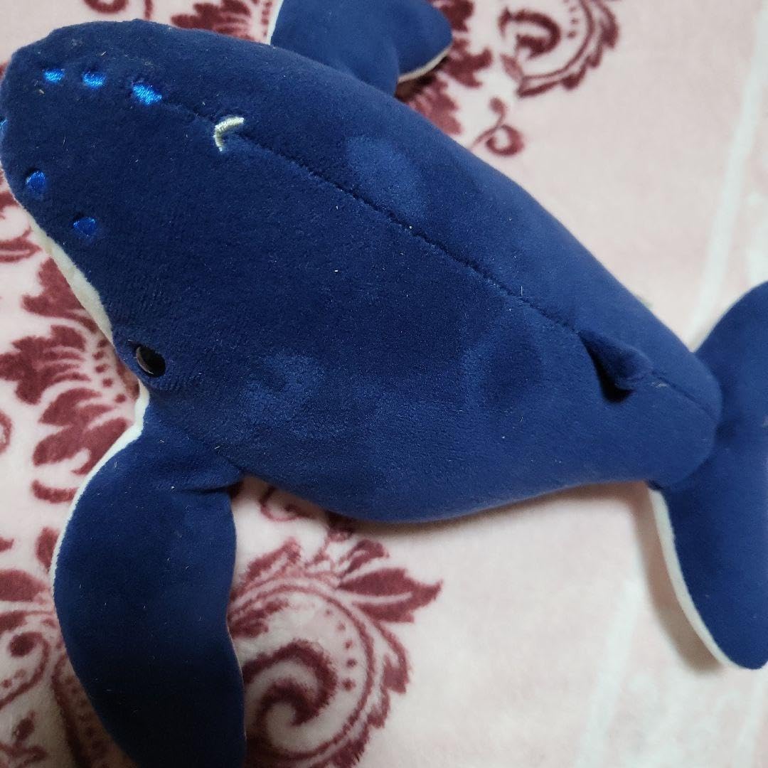 水色 クジラ型ぬいぐるみ 本体 水色クジラ型ぬいぐるみ 約15cm - メルカリ