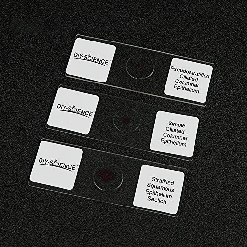 Image of Prepared Epithelium Types Microscope Slides Set, Excellent 11pcs Specimens Representing The Major Types of Epithelium