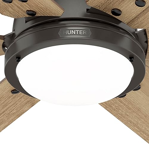 Miniatura 7 de Hunter Fan Company 51886 - Ventilador de techo por gravedad, bronce noble