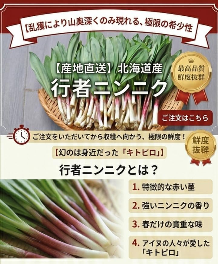 Amazon.co.jp: 北海道産 行者にんにく 1kg 採れたて 山菜