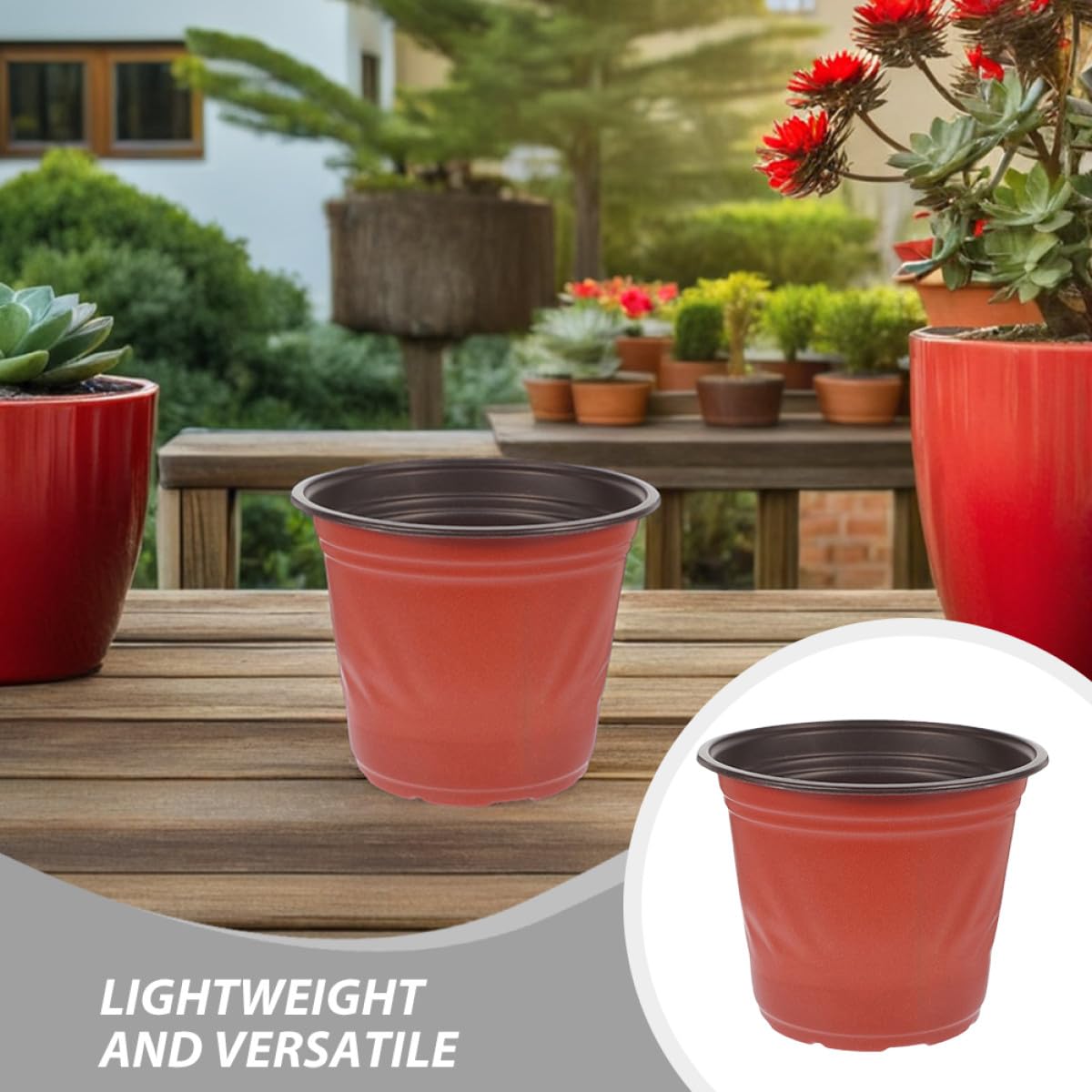 Hemobllo 60 pièces Pots Plastique pour Semis avec Drainage Petits Pots Deux Tons pour Cactus et Succulentes Jardinière de Transplantation pour Balcon et Jardin