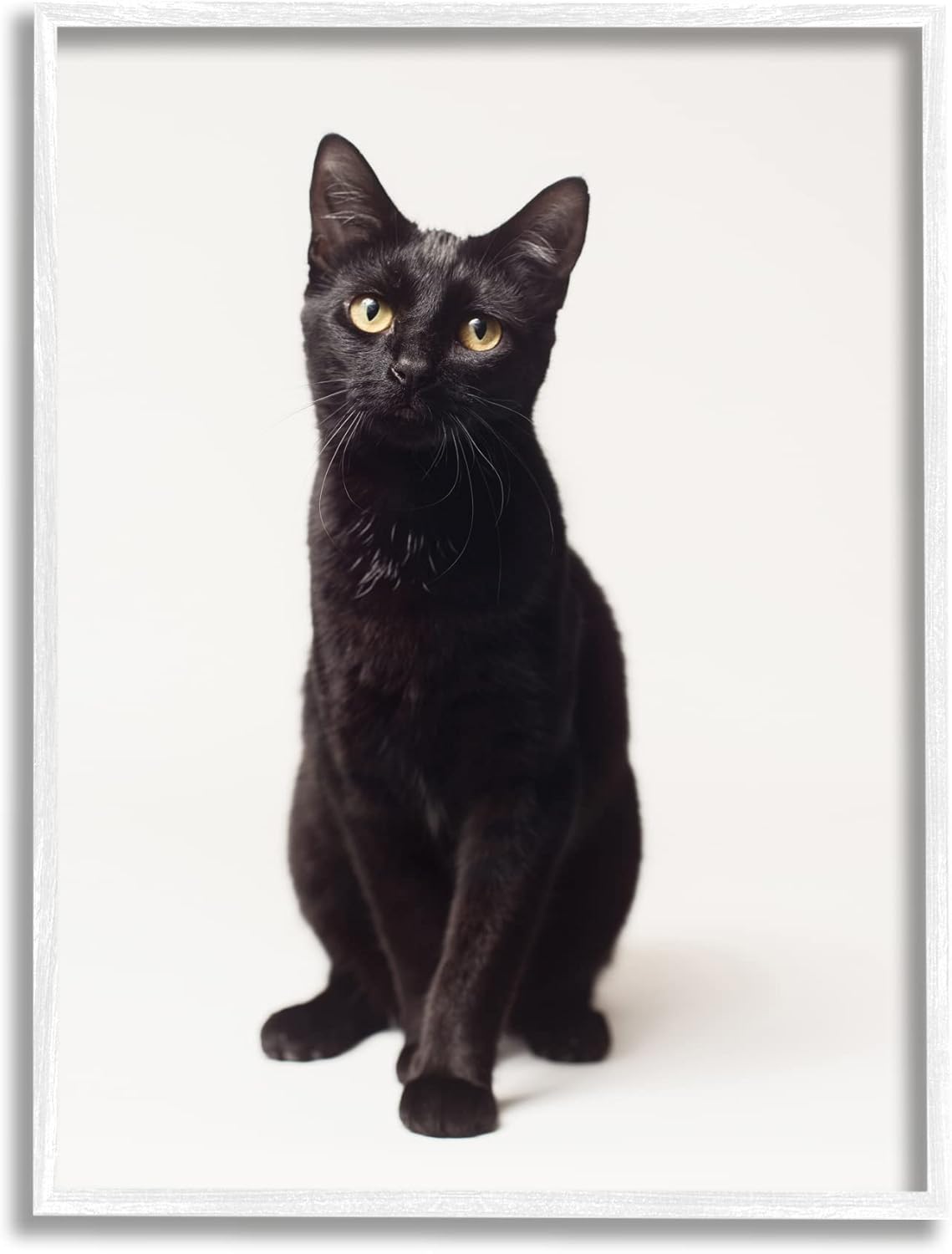 小室孝雄 色紙2025年最新】Yahoo!オークション -小室(美術品)の中古品