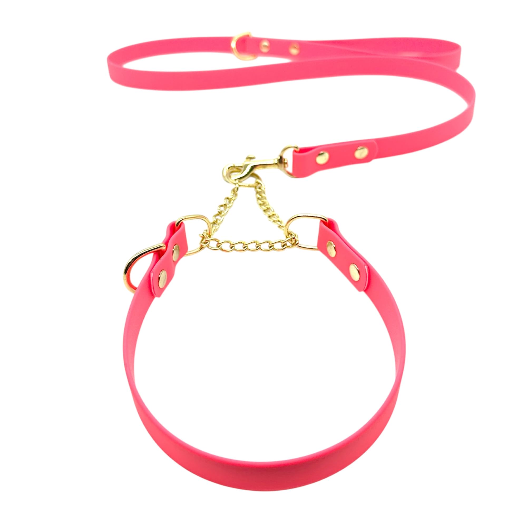 L&J Pets UK Martingale Dog Collar & Lead Set | Waterproof & Odour Proof | BioThane Webbing | Solid Brass Chain | Made in UK (Neon Pink, XS) — image 1