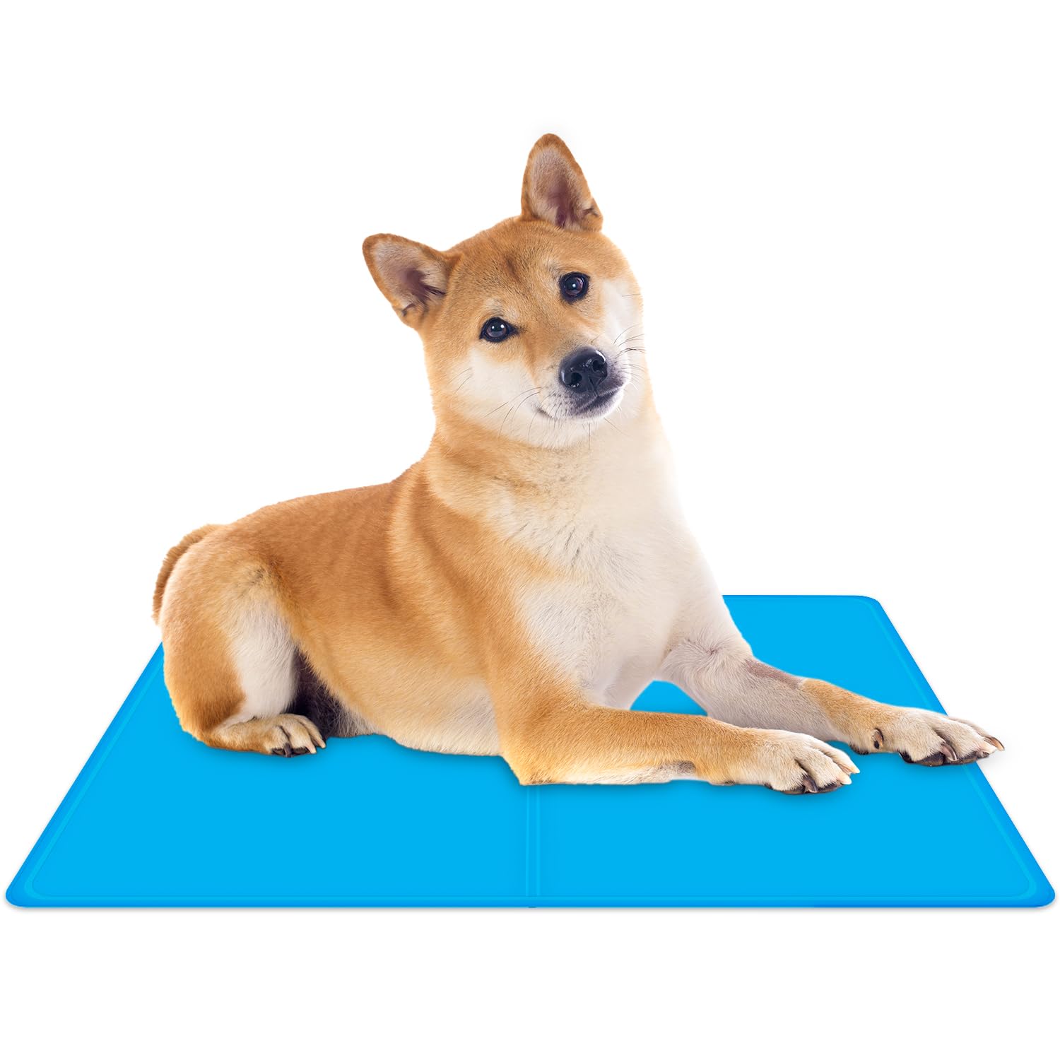Tapis de refroidissement pour animal pour éviter la surchauffe bleu