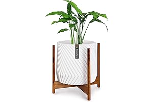 Fox & Fern Mid-Century Acacia Wood Plant Stand