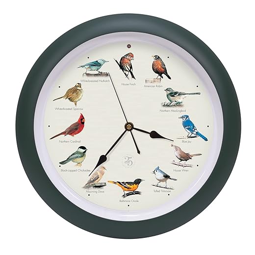 Mark Feldstein, The Original Singing Bird Clock, 25 th Anniversary Edition, 13 Inch, Green product