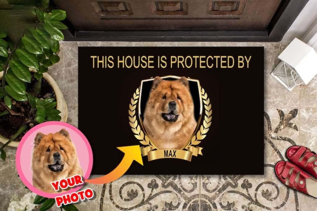 Tapis de porte personnalisé avec photo de votre chien pour décorer sa niche avec amour