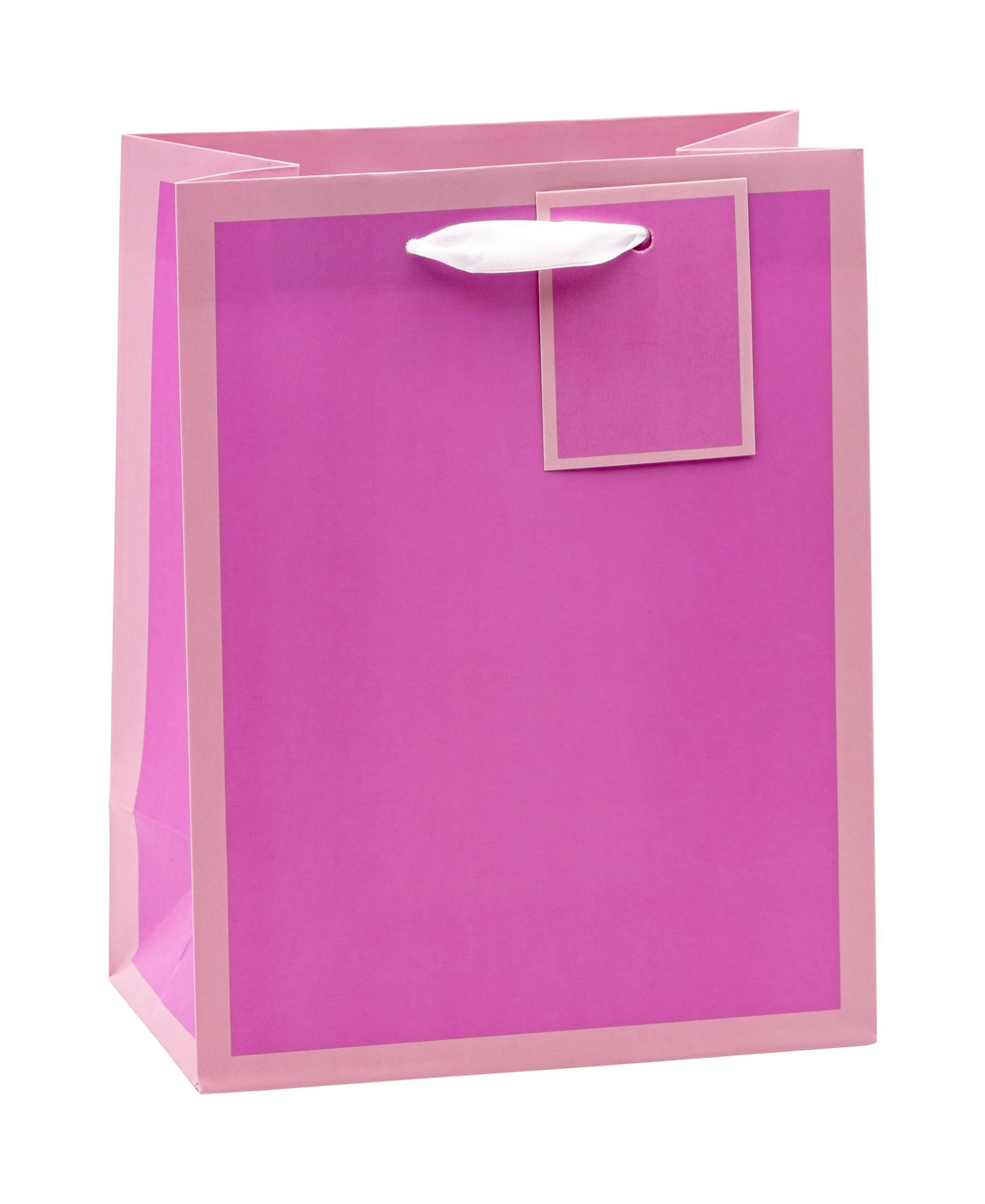 TSI 86011 - Sacchetti regalo alla moda, confezione da 12 pezzi, misura media (altezza x larghezza x profondità) 23 x 18 x 10 cm